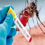En Palmira no solo nos mata el COVID-19, el dengue también hace de las suyas