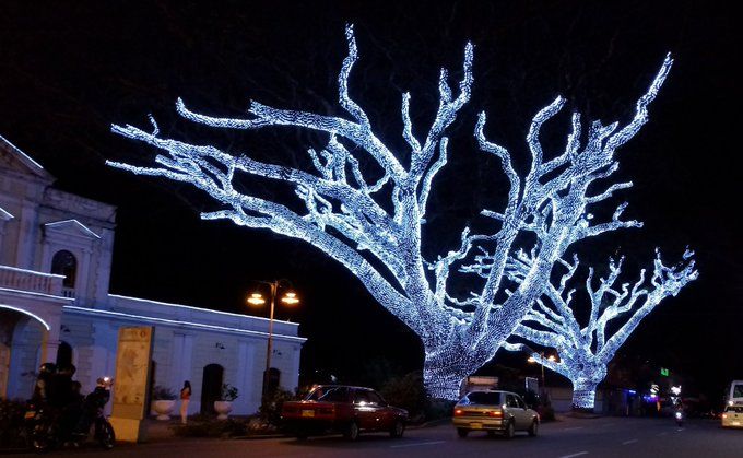 Palmira inaugura alumbrado navideño el próximo lunes