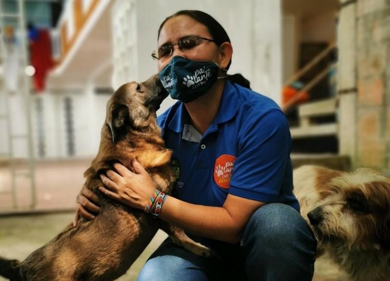 En Palmira velan por el bienestar de mascotas y animales