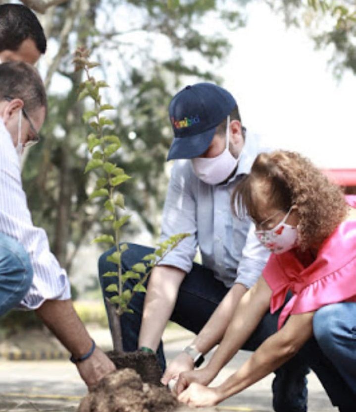 Siembra a favor del ambiente en la Semana de la Movilidad Sostenible