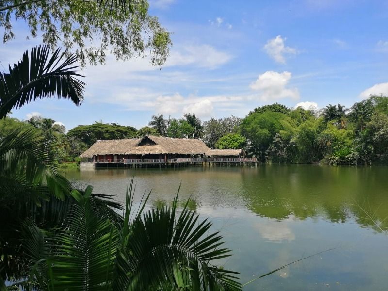Bosque Municipal estará cerrado hasta el 4 de enero