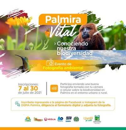 Abren convocatoria de fotografía inspirada en el medioambiente de Palmira
