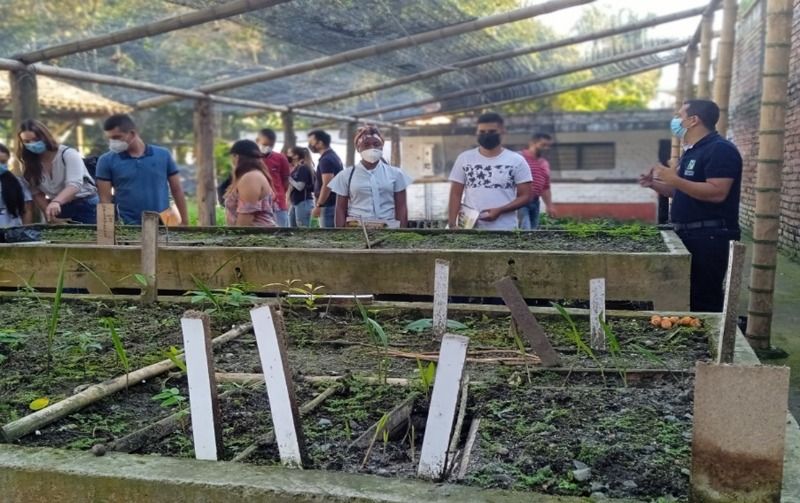 Bosque Municipal reactivó el vivero para promover conservación del ambiente