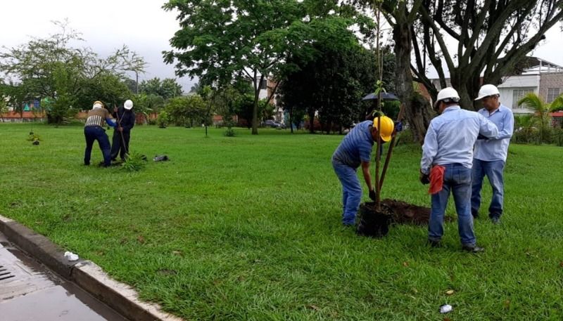 Nueva jornada de siembra se realizó en el barrio Caminos de Llanogrande