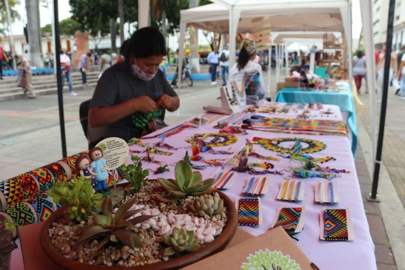 En Palmira abren convocatoria de emprendimientos verdes