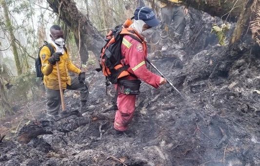 Solicitan activar protocolo aéreo para controlar incendios forestales