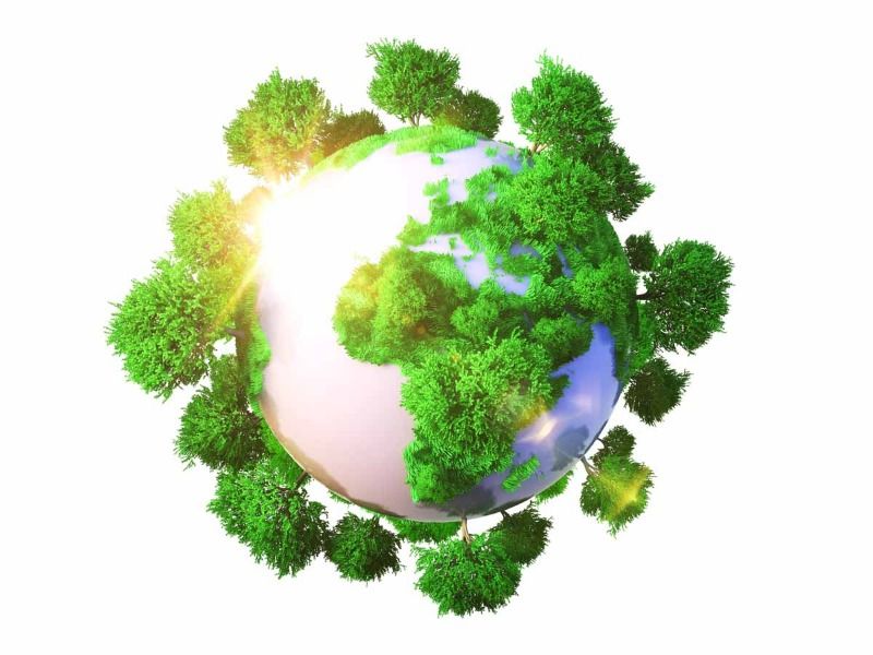 Cali se queda con sede de la COP16 de Biodiversidad 2024