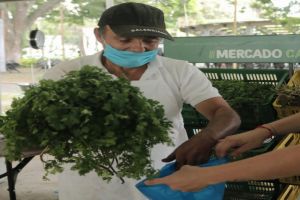 Con evento en el Coliseo de Ferias exaltarán labor de los campesinos