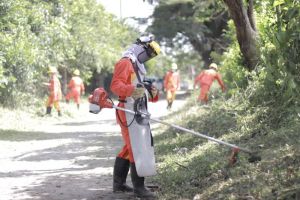 Programa "Camineros" embellece las vías rurales de Palmira