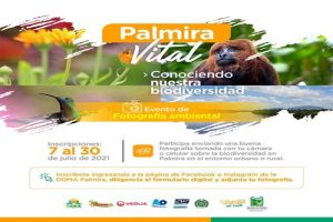 Abren convocatoria de fotografía inspirada en el medioambiente de Palmira