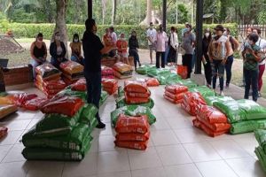 Invitan al donatón de alimentos para animales abandonados