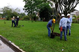 Nueva jornada de siembra se realizó en el barrio Caminos de Llanogrande