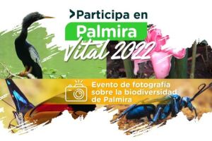Convocan a evento de fotografía "Palmira Vital"